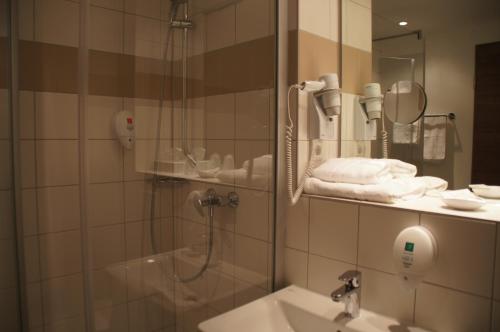 弗里德贝格弗里德伯格欧洲酒店的带淋浴和盥洗盆的浴室