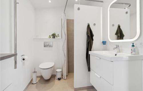 JægersprisStunning Home In Jgerspris With Kitchen的一间带水槽、卫生间和镜子的浴室