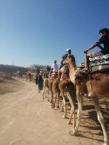 奥瑞尔Agadir aourir maroc的一群骑着骆驼沿着土路骑行的人