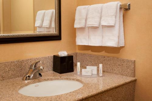 赫兰德霍兰托莱多机场万怡酒店的浴室配有盥洗盆、镜子和毛巾