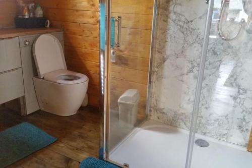 斯沃弗姆Bishy Barnabees country lodge with hot tub的一间带卫生间和玻璃淋浴间的浴室