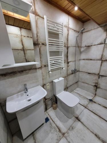 巴库里阿尼Townhouse in Mountains.的一间带水槽、卫生间和镜子的浴室
