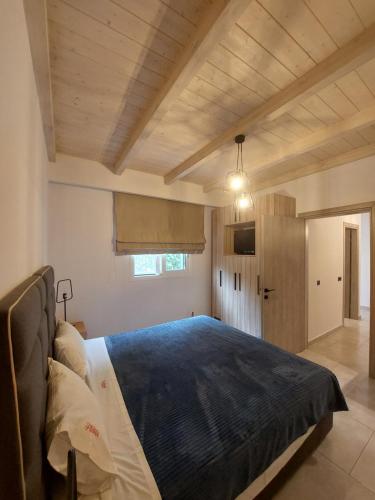 阿利卡纳斯Zante Flower Studios & Apartments的一间卧室配有一张带蓝色毯子的大床