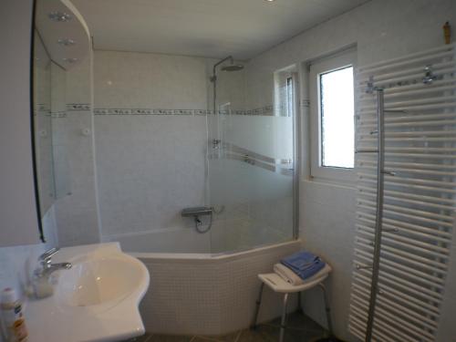 波恩Siebengebirgsblick的带淋浴、卫生间和盥洗盆的浴室