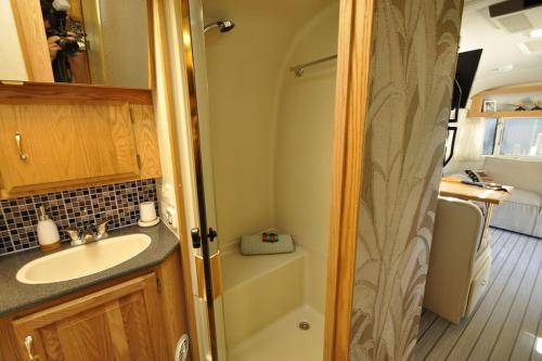 埃尔讷沃德Airstream Retro USA caravan的一间带水槽和淋浴的小浴室