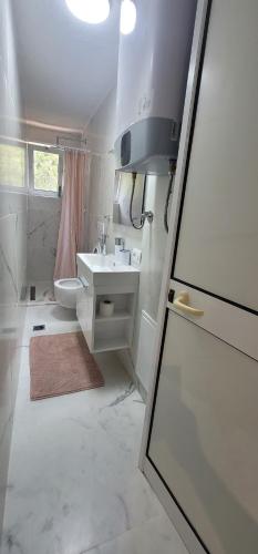 尤塔哈Vila Seknič的白色的浴室设有水槽和卫生间。