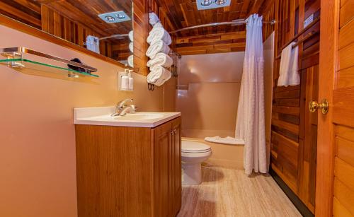 Mount HoodCooper Spur Mountain Resort的一间带水槽和卫生间的浴室