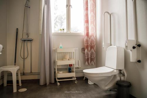 KalvKalvs Skolhus的一间带卫生间和窗户的浴室