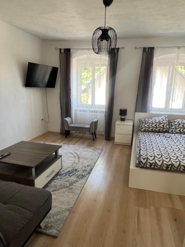 格蒙登Apartment in Gmunden的客厅配有床和沙发