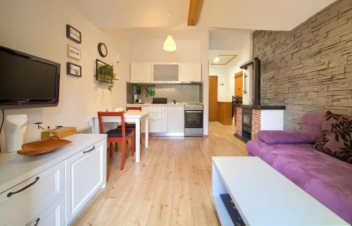 弗济内Studio Apartman Roxy的一间带紫色沙发的客厅和一间厨房