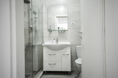 北马马亚-讷沃达里Sea View Apartment的一间带水槽、淋浴和卫生间的浴室