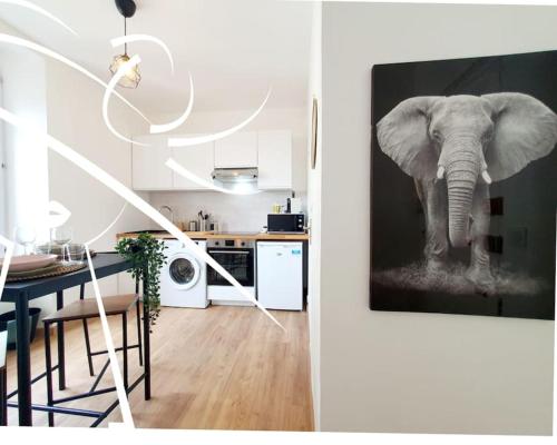 雷恩La Suite N°05 par Madame Conciergerie的厨房墙上挂着大象的照片