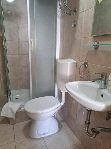 DrašniceApartmani ante 3的一间带卫生间和水槽的浴室