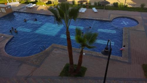 穆罕默迪耶Résidence Al Kawtar- Mansouria Mohammedia的享有游泳池的顶部景色,游泳池拥有棕榈树