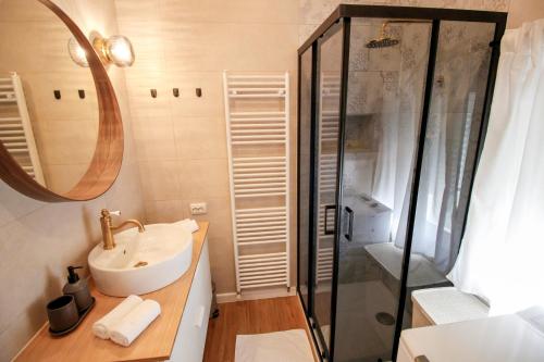 奥米沙利Apartment Castelmuschio的一间带水槽和淋浴的浴室
