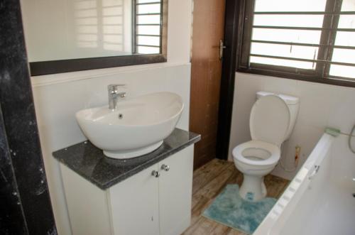 卢萨卡Nsunge Nsunge Farm and Natural Resort的一间带水槽和卫生间的浴室
