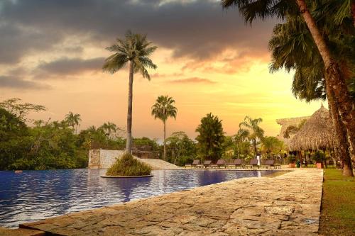 比亚维森西奥Hotel Reserva de Piedemonte的棕榈树度假村的游泳池