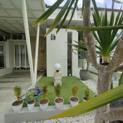 巴图Kayana Regency F7的一座种植了棕榈树和植物的庭院