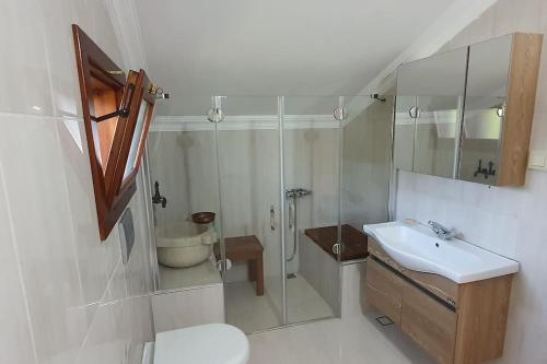 萨潘贾Villa Koral in Kirkpinar - Sapanca的带淋浴、卫生间和盥洗盆的浴室