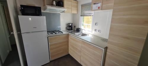 阿格德Joli Mobil Home的一间带冰箱和水槽的小厨房