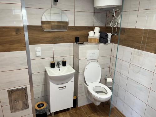 BerezkaDomki w Bieszczadach Nowa Zelandia的一间带卫生间和水槽的小浴室