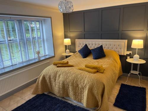 斯旺西Spacious 1 bed bungalow located on a Gower Sheep Farm的一间卧室配有一张带蓝色枕头的床和一扇窗户。