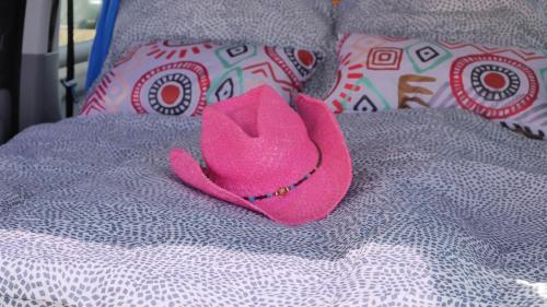 圣米格尔德阿沃纳EndlessCamperVan的床上的粉红色帽子