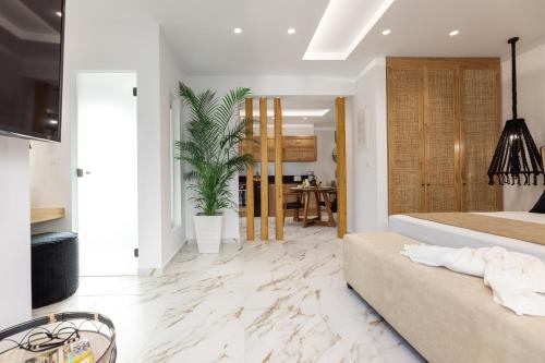 纳克索乔拉Olvos Suite的一间带大床的卧室和一间客厅