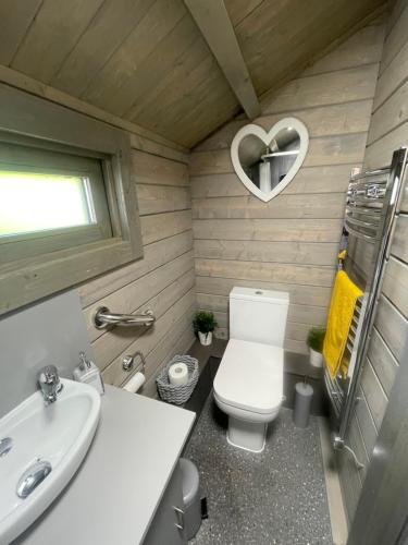 Kincardine OʼNeilDaisy Cabin的一间带卫生间和水槽的小浴室