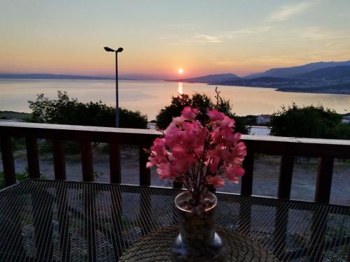 克罗诺维察Mobile home Relax的一张花瓶,上面有粉红色的花朵,坐在桌子上,日落