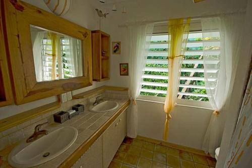 辛普森湾Ocean front villa, pool, private ocean snorkeling的一间带两个盥洗盆和窗户的浴室
