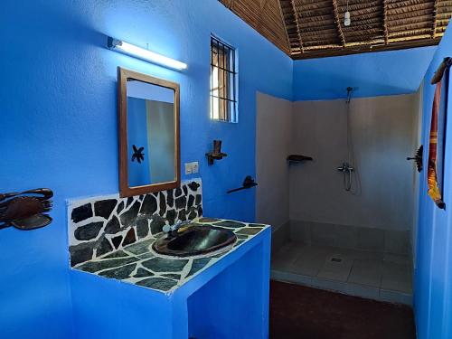 贝岛Auberge Le Lagon的蓝色的浴室设有水槽和淋浴