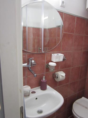 察夫塔特Studio Apartment Solis的一间带水槽和镜子的浴室