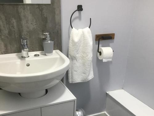 史宾桥Highland Bridge Hotel的白色的浴室设有水槽和一卷卫生纸