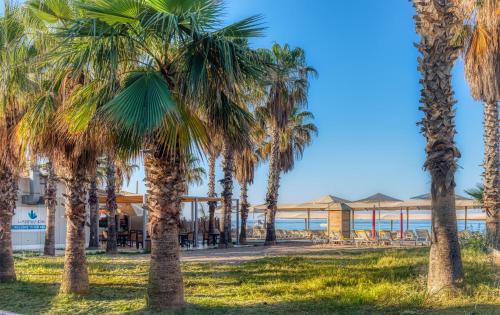 锡德Labranda Excelsior Hotel的海滩前一排棕榈树