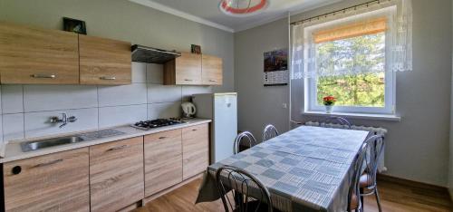 索莱克-特洛伊Pokoje u Agaty的厨房配有桌子、水槽和冰箱