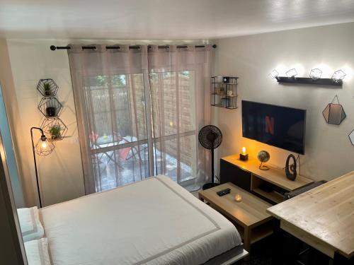 佩萨克Studio Pessac Centre Tram & Parking的一间卧室设有一张床、一台电视和一个窗口。