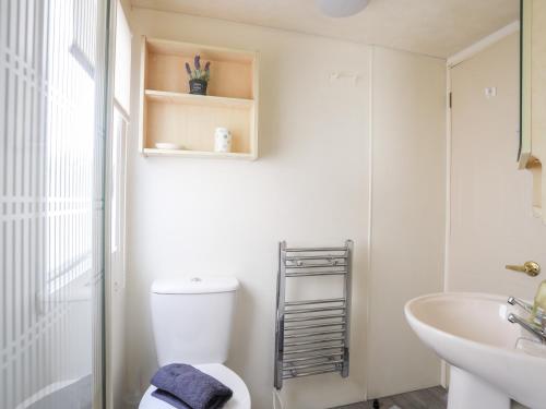 卡纳芬Tyn Clwt的白色的浴室设有卫生间和水槽。