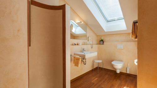 哈格瑙Sonnenhof Hagnau的浴室配有卫生间、水槽和天窗。
