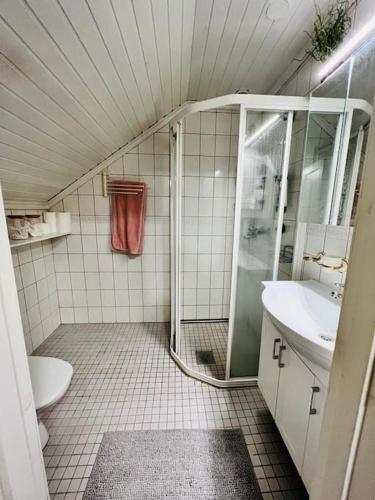 萨翁林纳Huvila Kyrönniemi的带淋浴、卫生间和盥洗盆的浴室