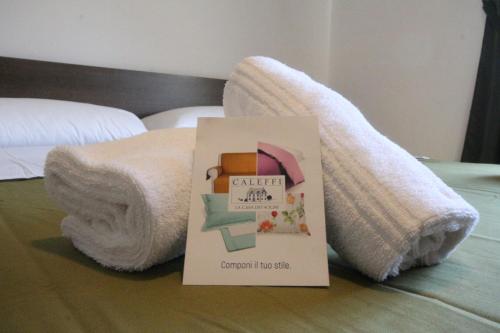 加尔达湖滨B&B Casa Wanda since 1999的书坐在床上,带毛巾