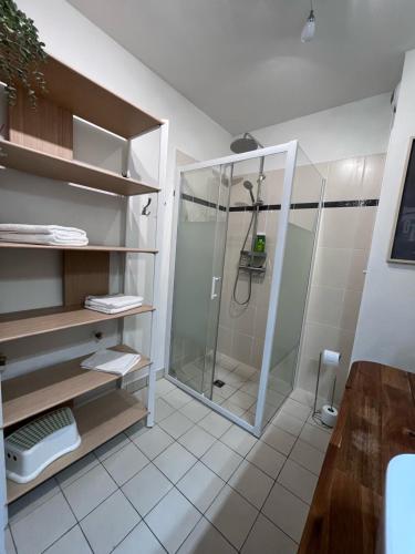 尼斯Studio terrasse et parking privé的带淋浴的浴室和玻璃淋浴间