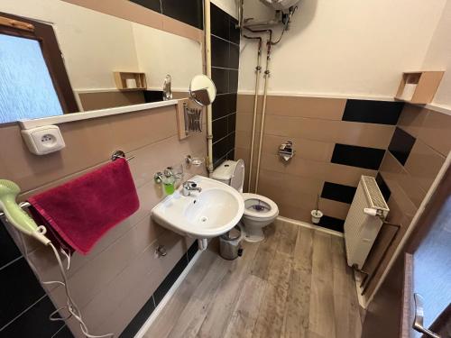 ŽluticeH@M Penzion的一间带水槽和卫生间的浴室