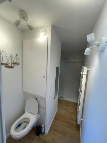 锡富尔勒普拉日Le rayon vert的一间带卫生间和淋浴的浴室。