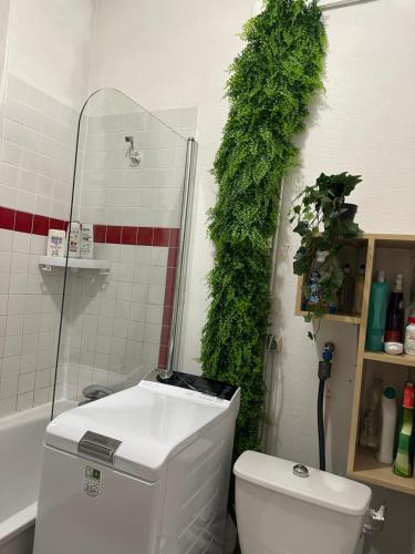 巴黎Nice Private Room in center的浴室配有卫生间,墙上挂有绿色植物