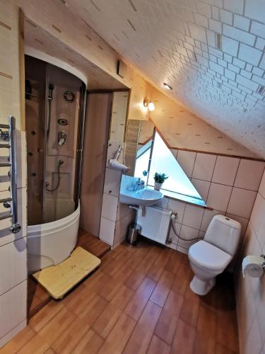 利耶帕亚Silent Loft for Getaway的一间带卫生间和水槽的浴室