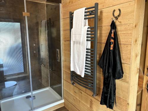 内瑟·斯托威TVF Stable Suites的带淋浴的浴室和毛巾架