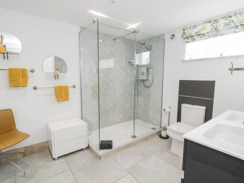 卡纳芬Capel Mawr, Basement 19的带淋浴、卫生间和盥洗盆的浴室