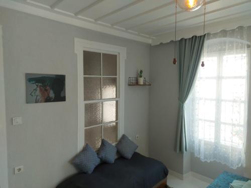 艾瓦勒克Mimosa House Ayvalık的带沙发和窗户的客厅