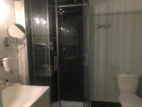 索伊茨HOTEL LES MARRONNIERS的带淋浴、卫生间和盥洗盆的浴室